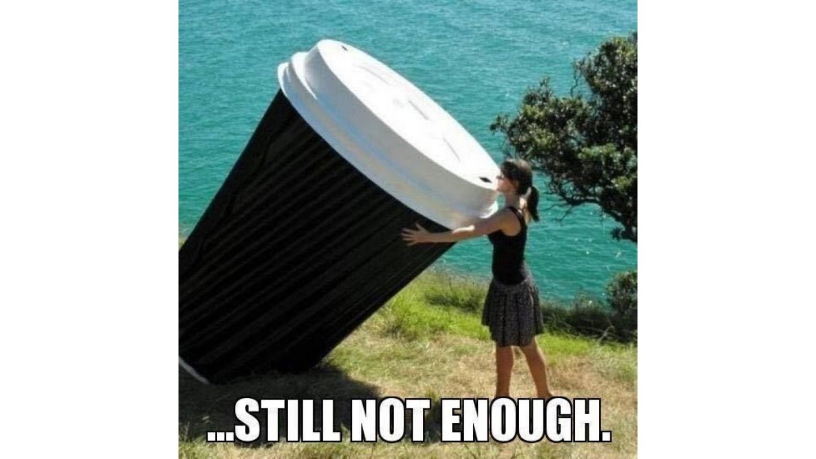 45 Funny Coffee Memes all humor and coffee lovers can not miss - meme 18