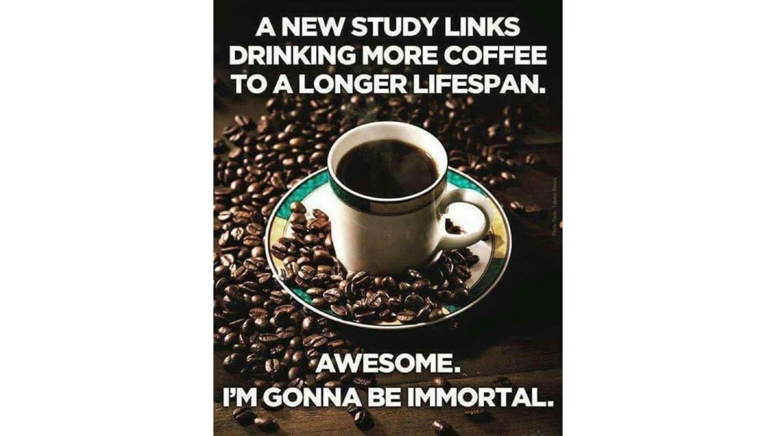 45 Funny Coffee Memes all humor and coffee lovers can not miss - meme 33