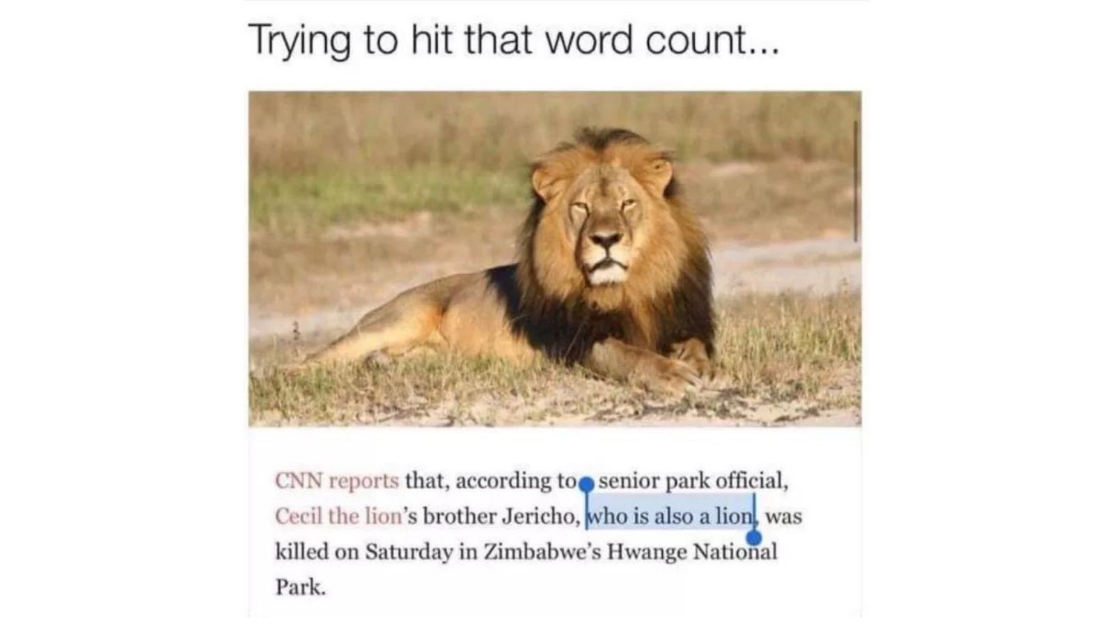 70 Funny and Relatable College Memes that will make you laugh and cry at the same time. - meme 36