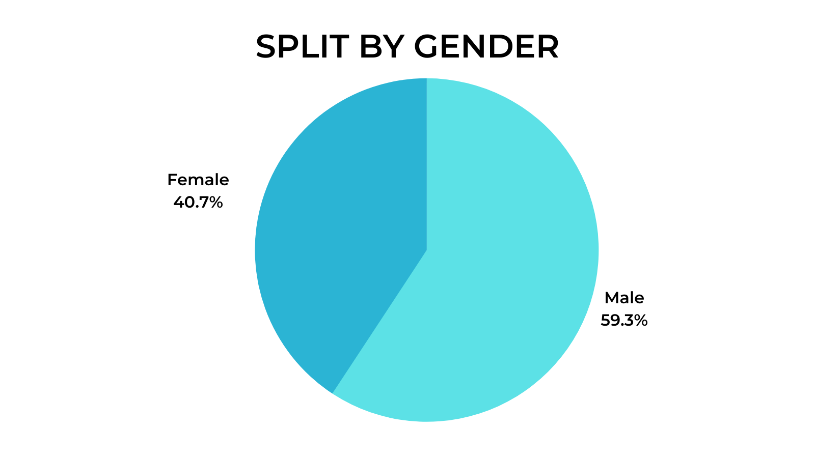 Remote Work Interviews - Gender Diversity