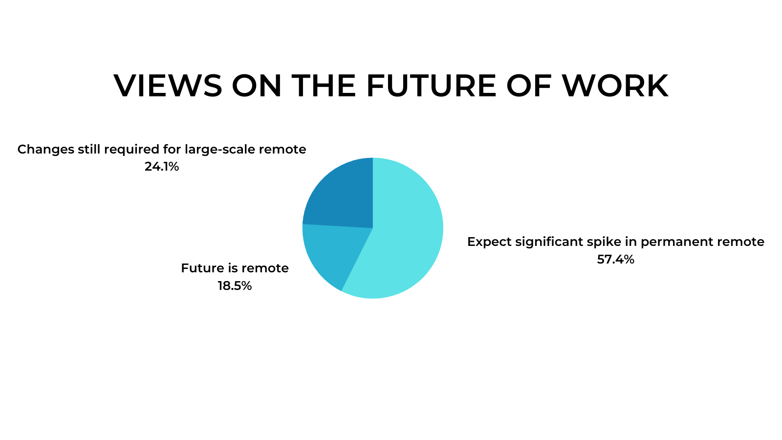 Remote Work Interviews - Future of Work