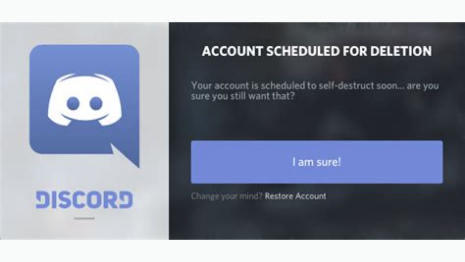 Discord being undecided : r/discordapp