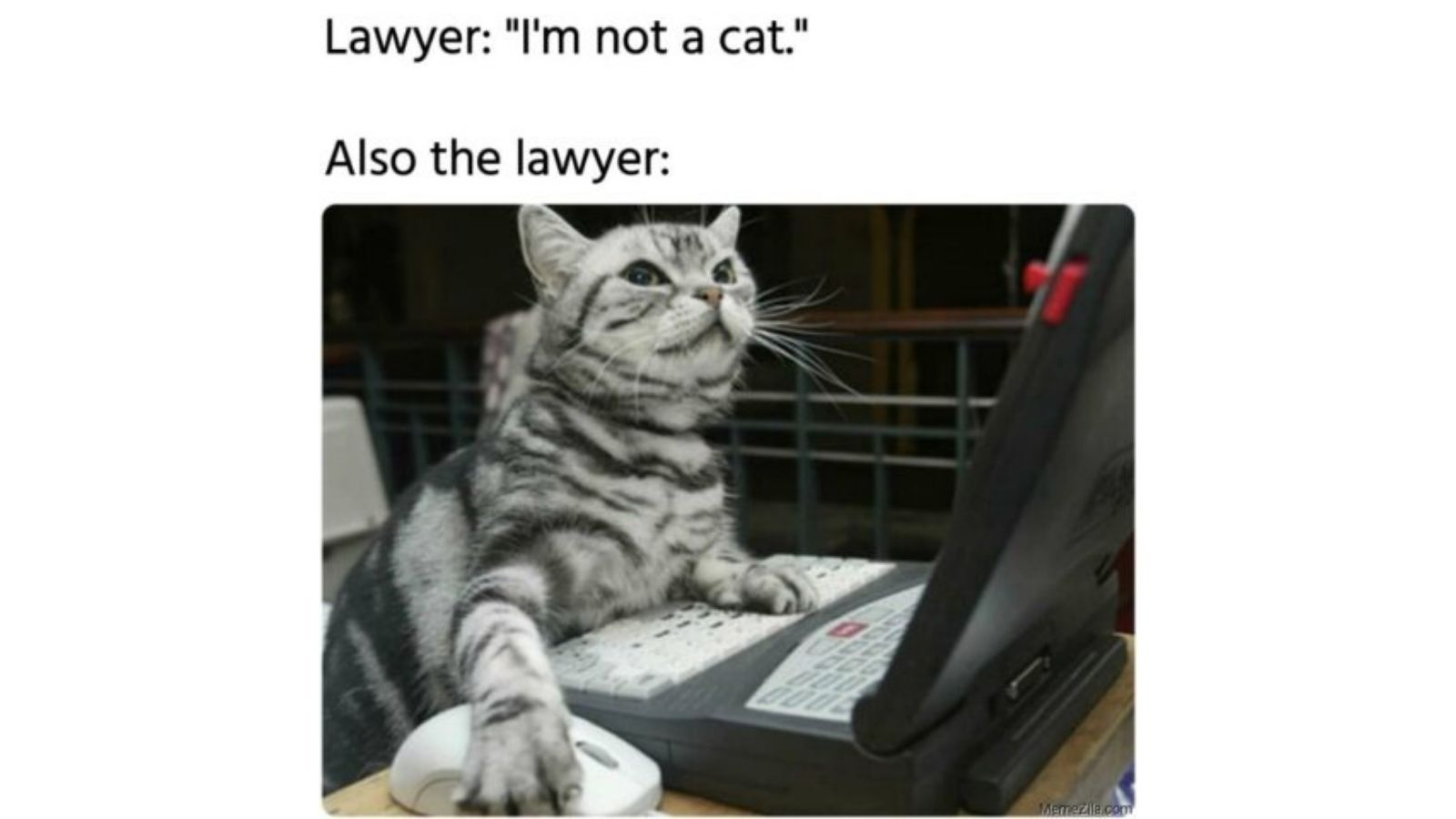 75+ Hilarious Zoom Memes, that will make the Zoom calls more bearable - meme 20