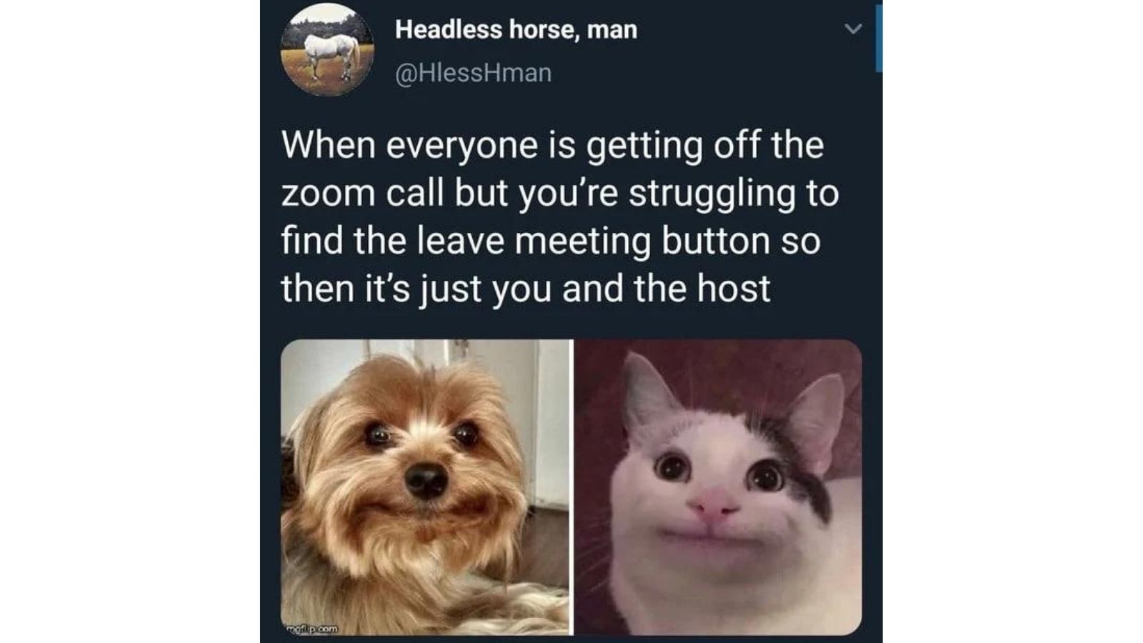 75+ Hilarious Zoom Memes, that will make the Zoom calls more bearable - meme 32