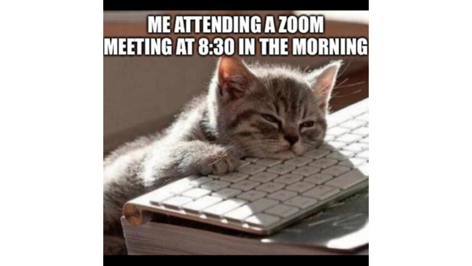 75+ Hilarious Zoom Memes, that will make the Zoom calls more bearable - meme 55