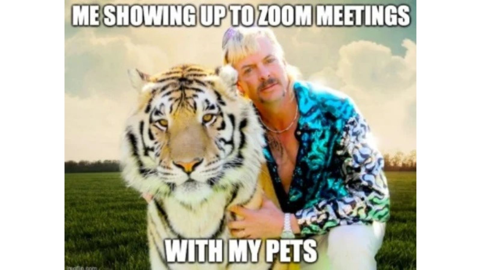 75+ Hilarious Zoom Memes, that will make the Zoom calls more bearable - meme 56