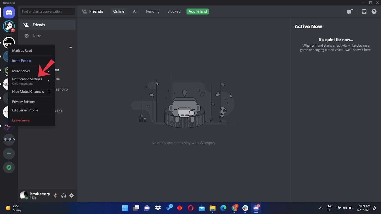 discord turn off automute