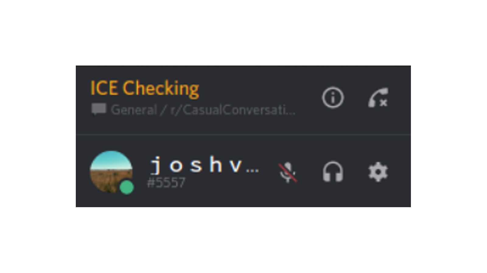 Ice Checking Discord What It Means And How To Fix This