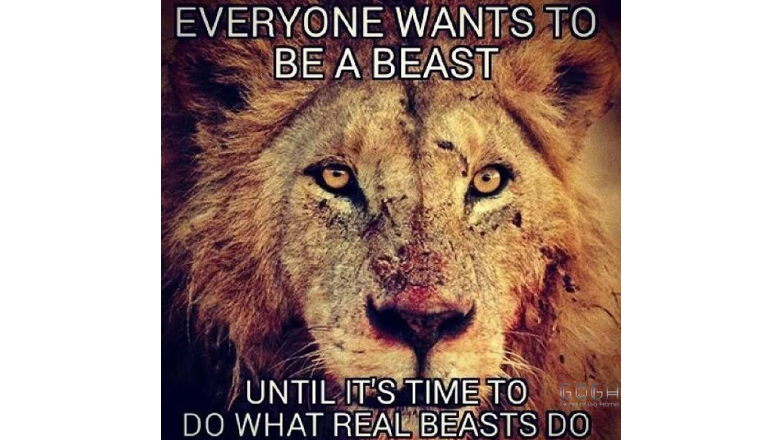 70 Best Inspirational Memes to keep you motivated - meme 28