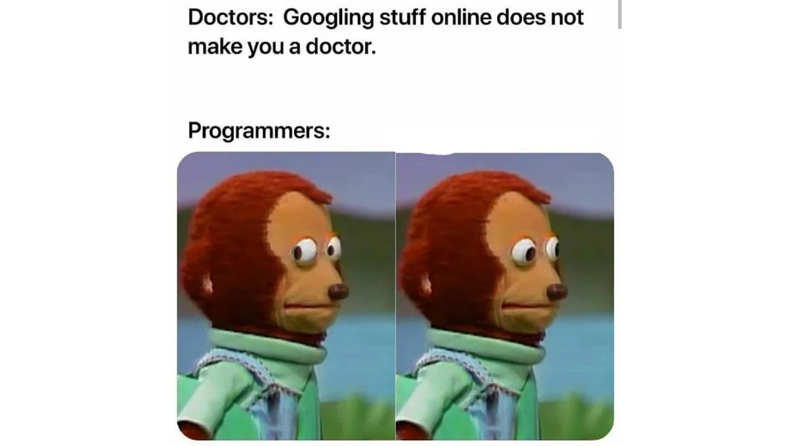 65 Best, Super Funny Programmer Memes to Crack You Up - meme 51