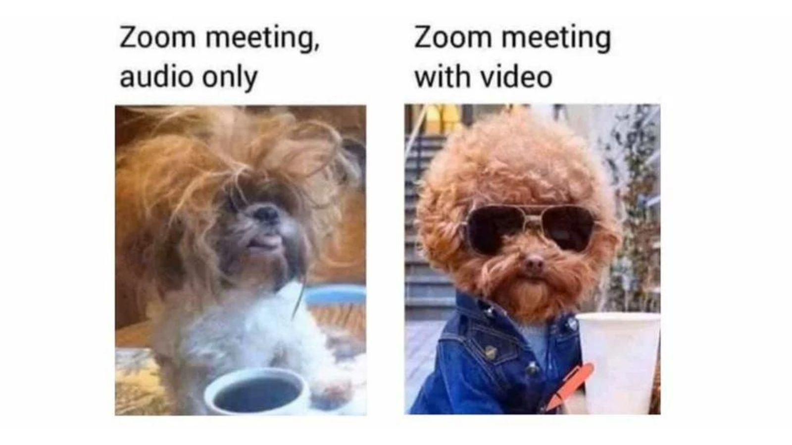35 Work From Home Memes that will make you laugh because it's true - meme 16