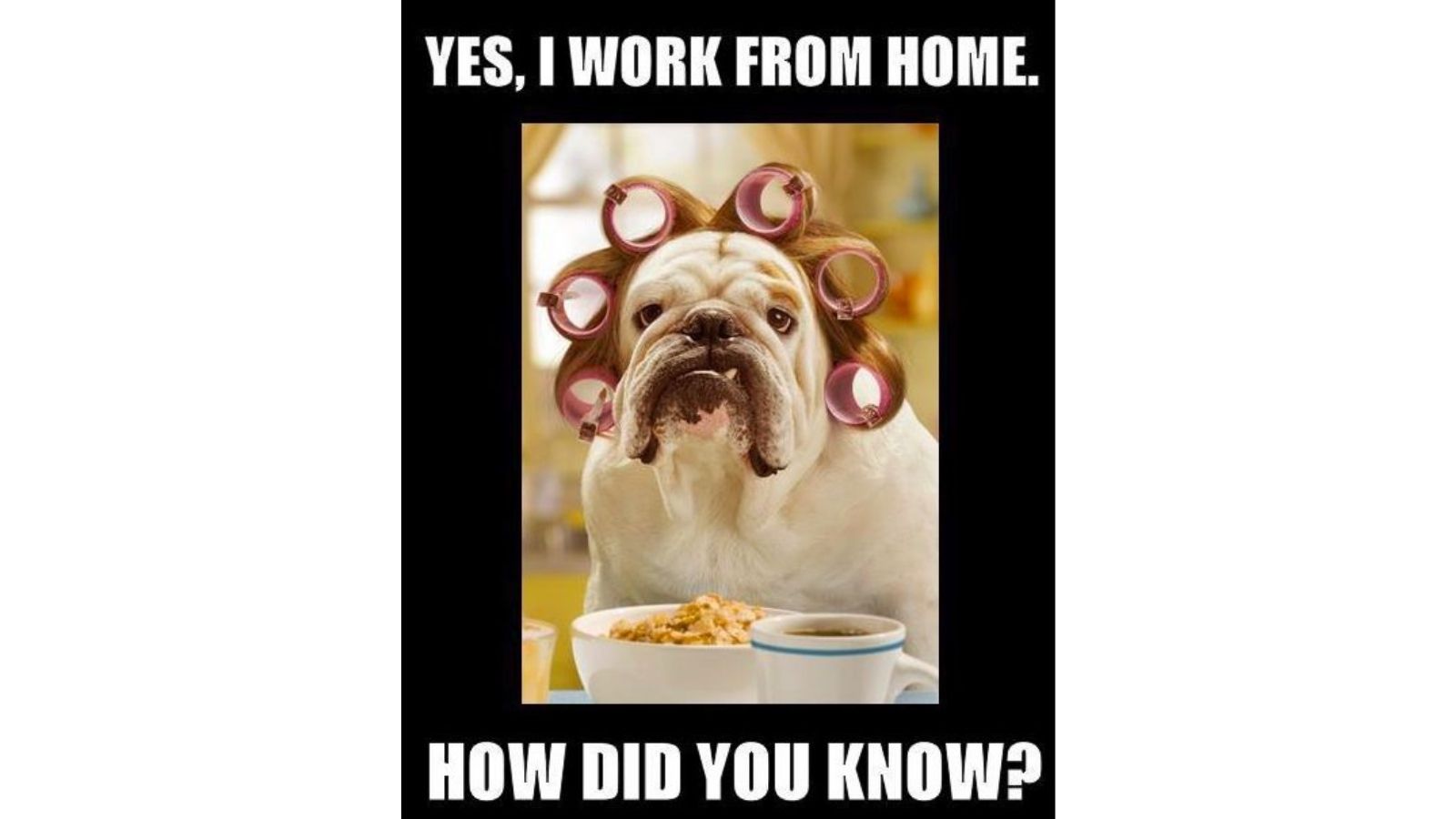 35 Work From Home Memes that will make you laugh because it's true - meme 17